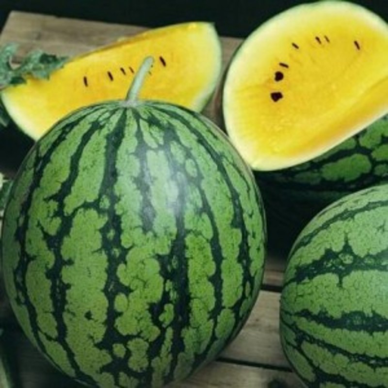 Melon inconnu ??? Melon-deau-yellow-baby